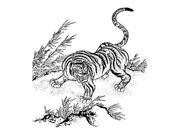 Tiger Classic Vector material