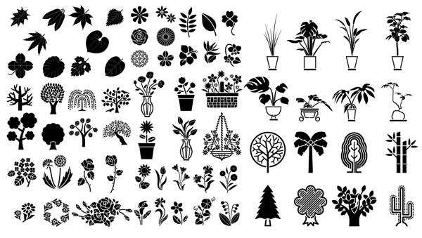 Flowers and trees, ornamental plants bamboo plant 
