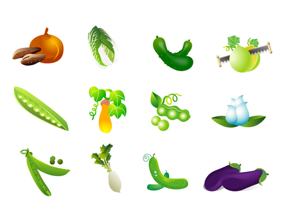 Vegetable Vector - cabbage, sweet potato, eggplant and beans radish