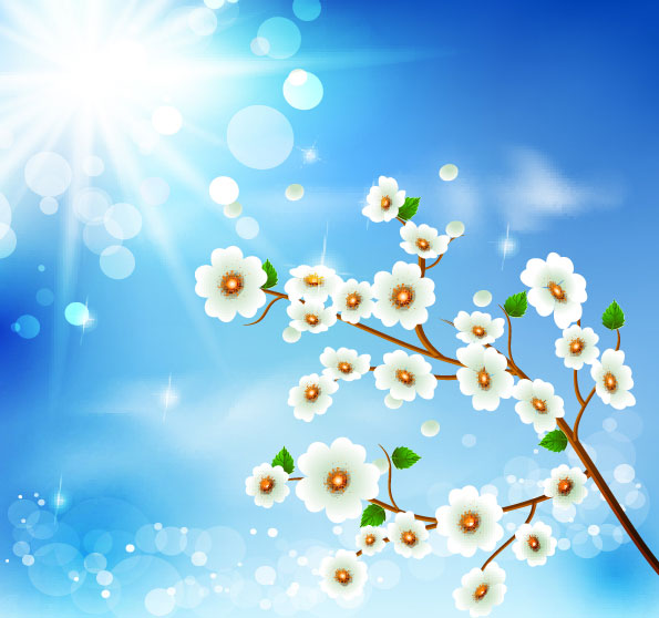 Plum vector material