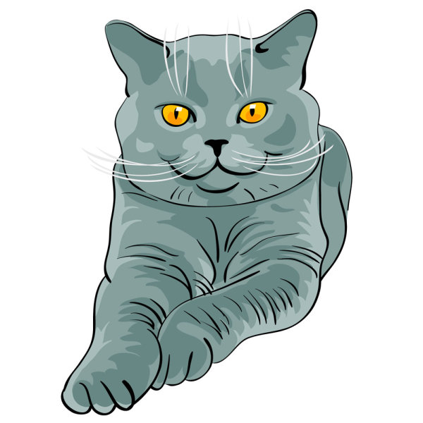 Animal material cat 02 - vector