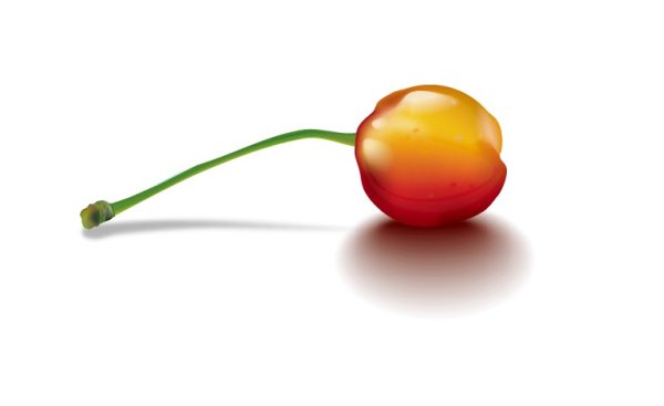 The realism Cherry Vector 