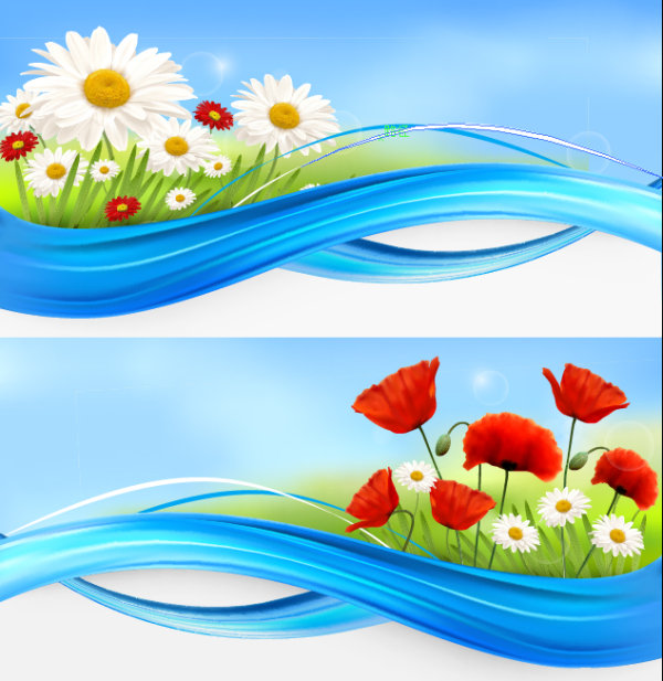 Daisy 01 - vector material 