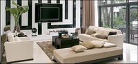 Stylish living room picture material