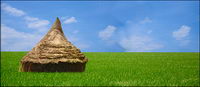 Food series picture material-1