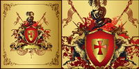 Classical elements of the vector material