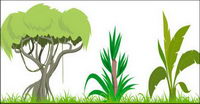 Tree vector material subject