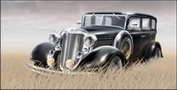 Grass material in the old car vector		