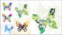 Beautiful butterfly - Vector