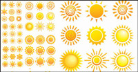 Variety of sunflowers patterns - Vector