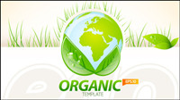 Environmentally friendly material layout design 04 - vector