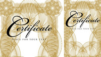 Fine grain security border 05-- vector material