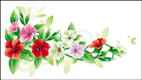 Beautiful flowers 01 - vector 
