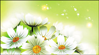 Beautiful flowers 01 - vector