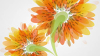 Fashion flowers vector material -2 