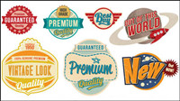 The trend of the retro label vector