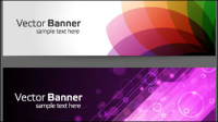 The gorgeous strip card 02 - vector material