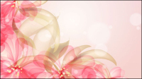 Colorful flowers background 03 - vector material