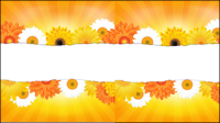 Flowers petals lace background 04 - Vector