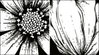 The printmaking flowers vector material -1