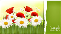 Chrysanthemum 03 - vector material