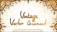 European lace vector material