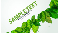 Green Leaf card 02 - vector material