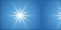 snowflake vector