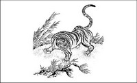 Tiger Classic Vector material