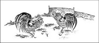 Vector material gamecock