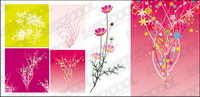 colourful flower