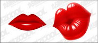 Vector mouth material-4