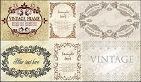 European lace vector