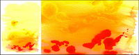 Before the ink watercolor picture material-015