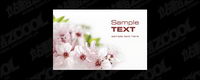 Pink flower picture quality material