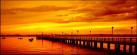 Beautiful evening Terminal picture material
