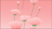 Pink flowers