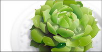 Vector material greens