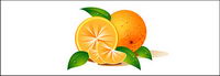 Oranges vector material