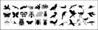 Hundreds of the elements of nature in Pictures vector material