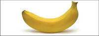 AI realistic rendering of the banana