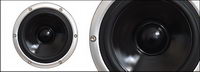 AI realistic rendering of the speaker