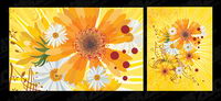 Daisy background
