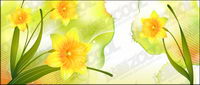 Dreams and Narcissus vector background material