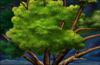 Trees