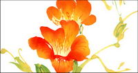 Watercolor painting of flowers results