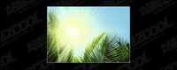 the sun picture material