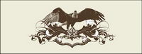 Hawks and the pattern vector material