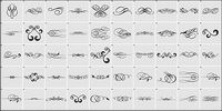 Continental corners lace material element vector