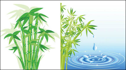 Bamboo Vector